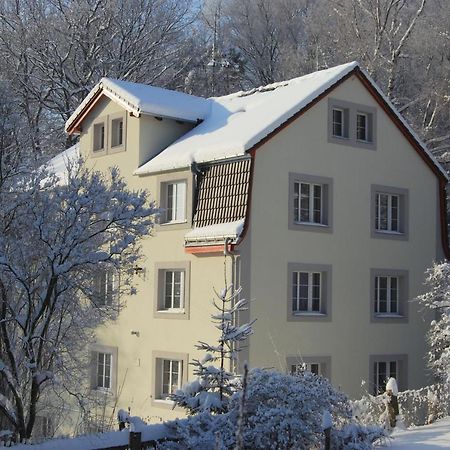 Pytloun Penzion Zeleny Haj Liberec Bagian luar foto
